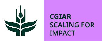 Scaling for Impact